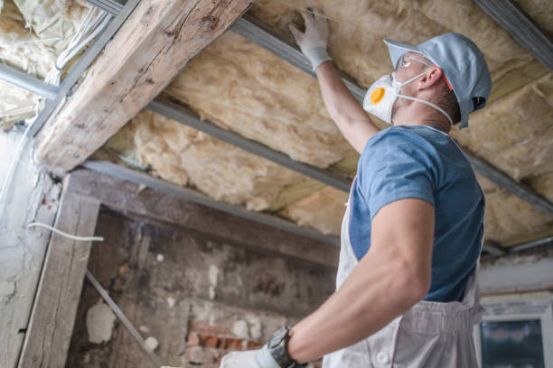 Best Best Insulation Companies  in Fort Lupton, CO